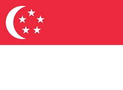 [ai] The flag of Singapore features a red field with a white horizontal stripe at the bottom. A white crescent moon is positioned on the left, with five white stars arranged in a circle.